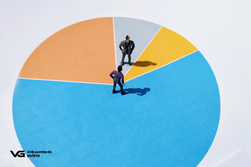 hvad betyder egenkapital​